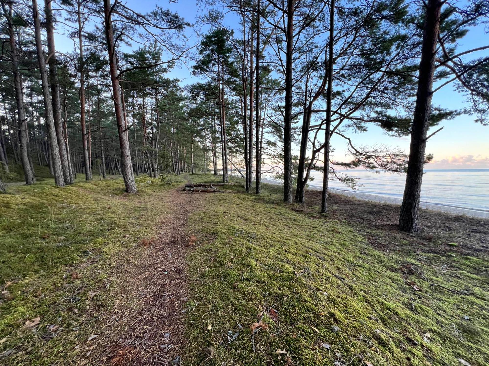 Lovely By The Sea. * Kesterciems